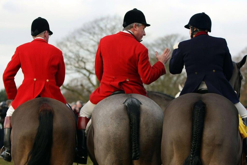 Labour MP pressures government to ban foxhunting for good before election