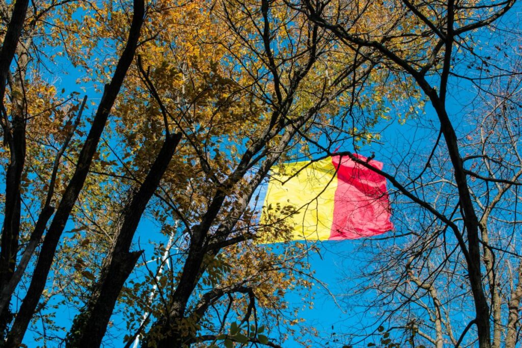 Romania’s Electrica opens two solar tenders – pv magazine International Romania’s Electrica opens two solar tenders – pv magazine International