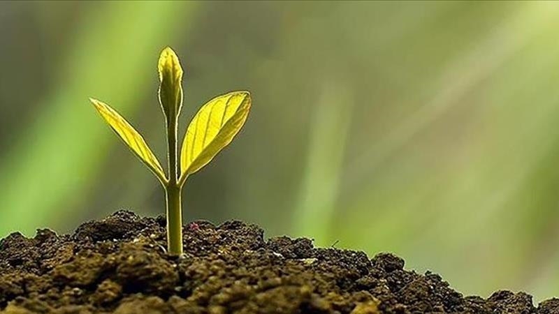 A decade after Paris Agreement: Progress made, promises broken