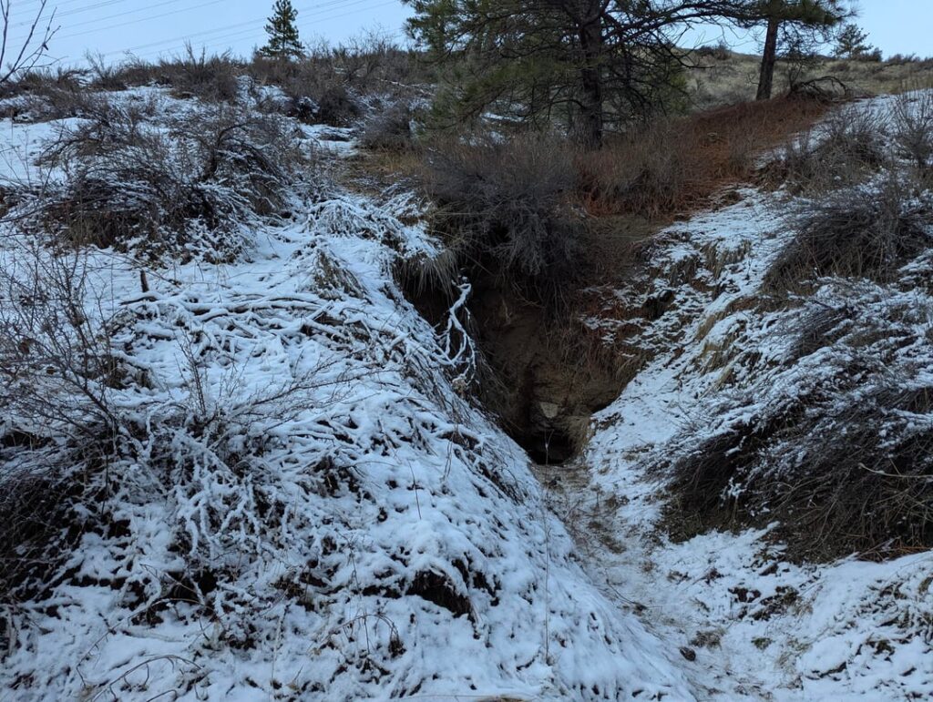 Explored Rex Rogers Abandoned Gold Mine and Stamp Mill