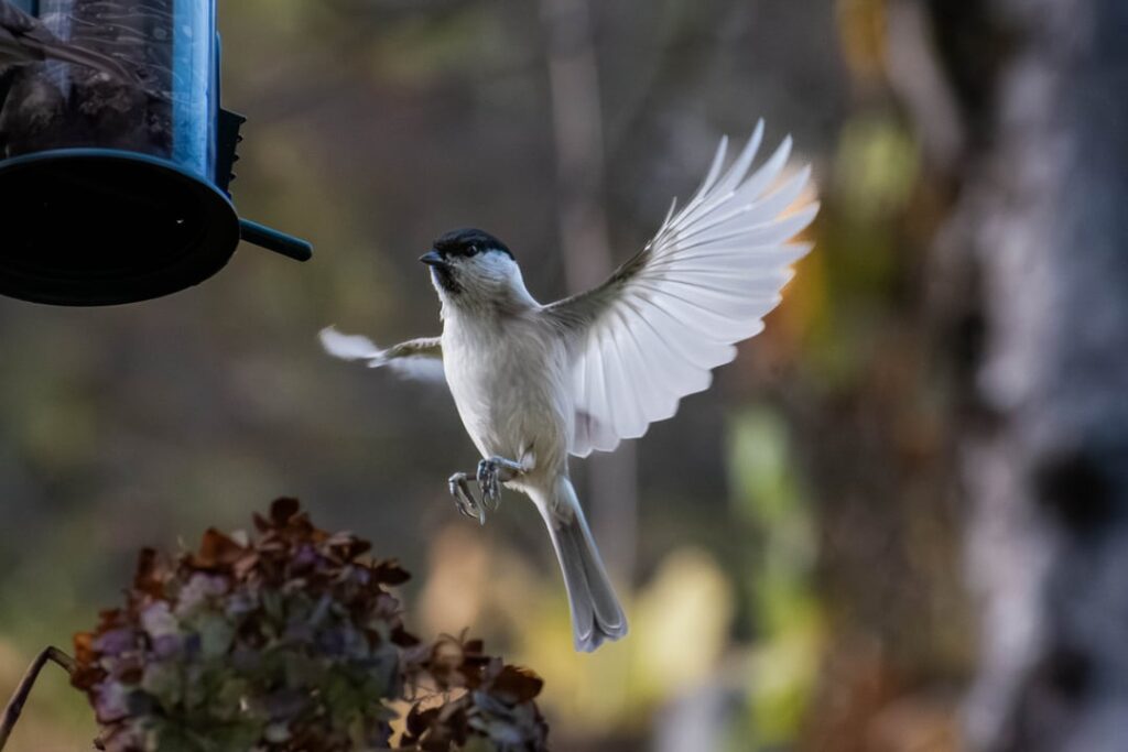 After almost a year of no tits