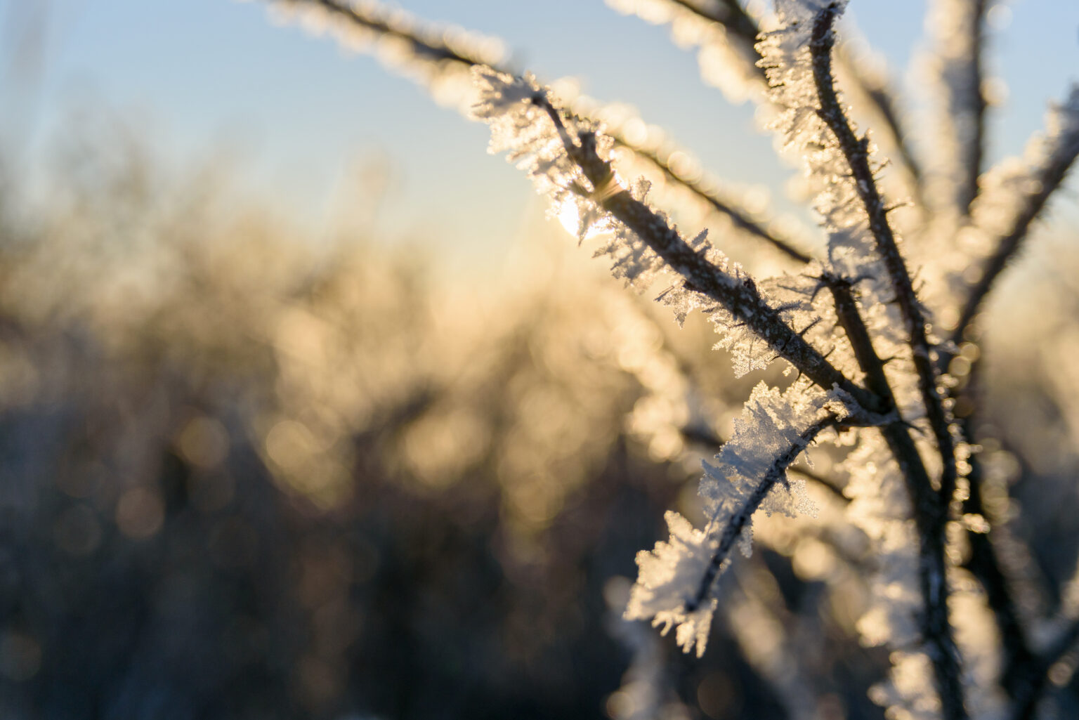 Luxembourg braces for dry cold snap after snowless festive period