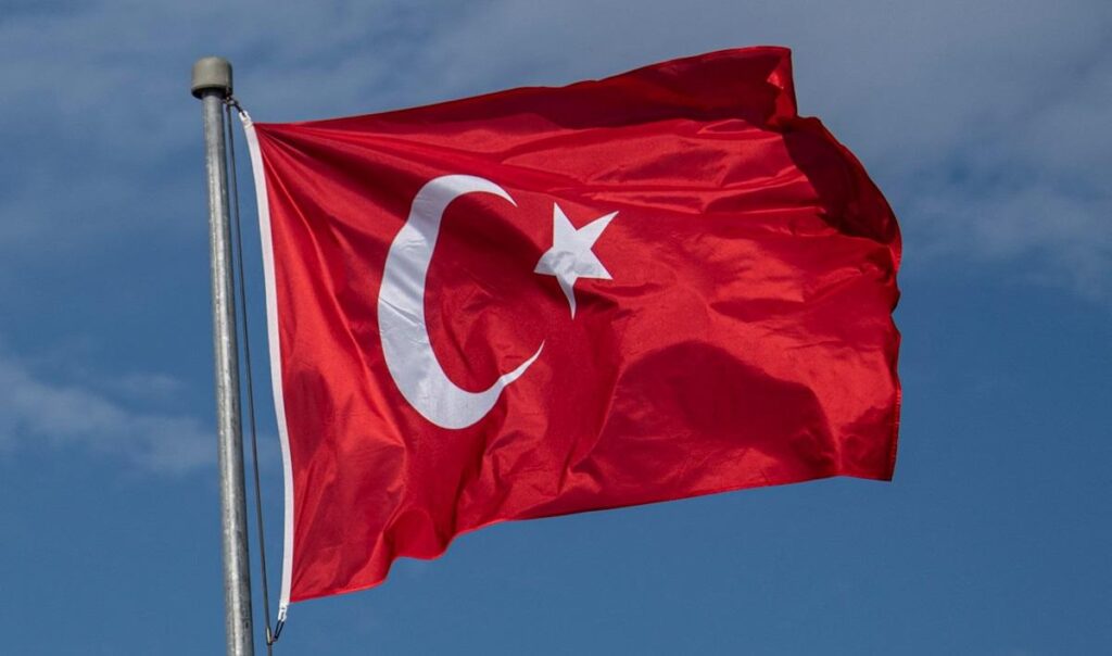 Turkey detains 115 alleged IS members