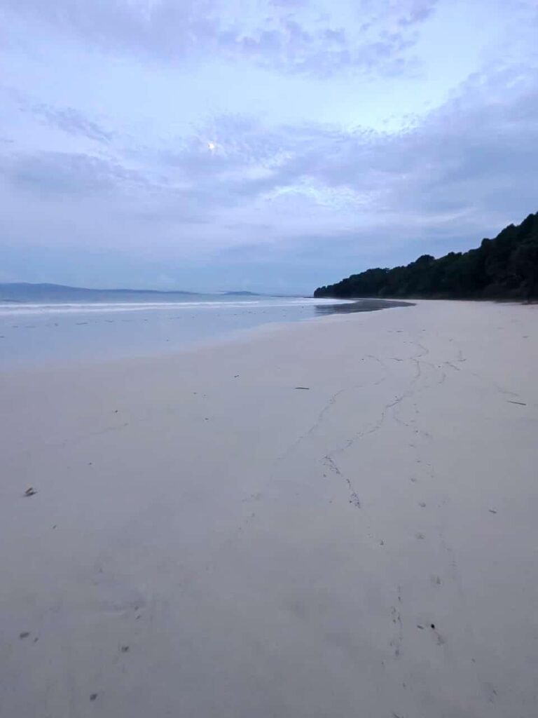Beautiful Nature at Radhanagar Beach, Havelock