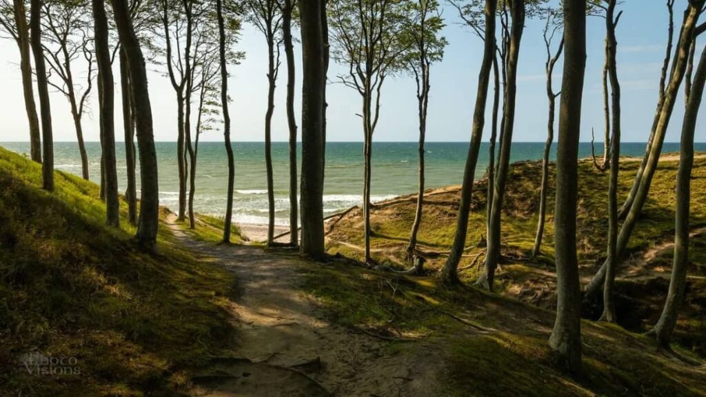 Untouched coastal nature in Poddąbie, Polish coast.