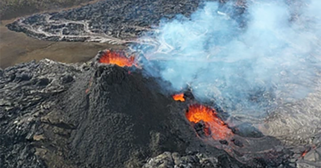 A volcano in Iceland is helping scientists understand how life forms spread to new habitats