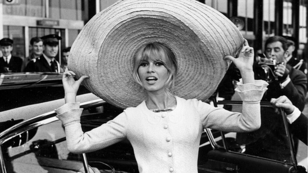 Brigitte Bardot, French 1960s sex symbol turned animal rights activist, dies at 91 Brigitte Bardot, French 1960s sex symbol turned animal rights activist, dies at 91