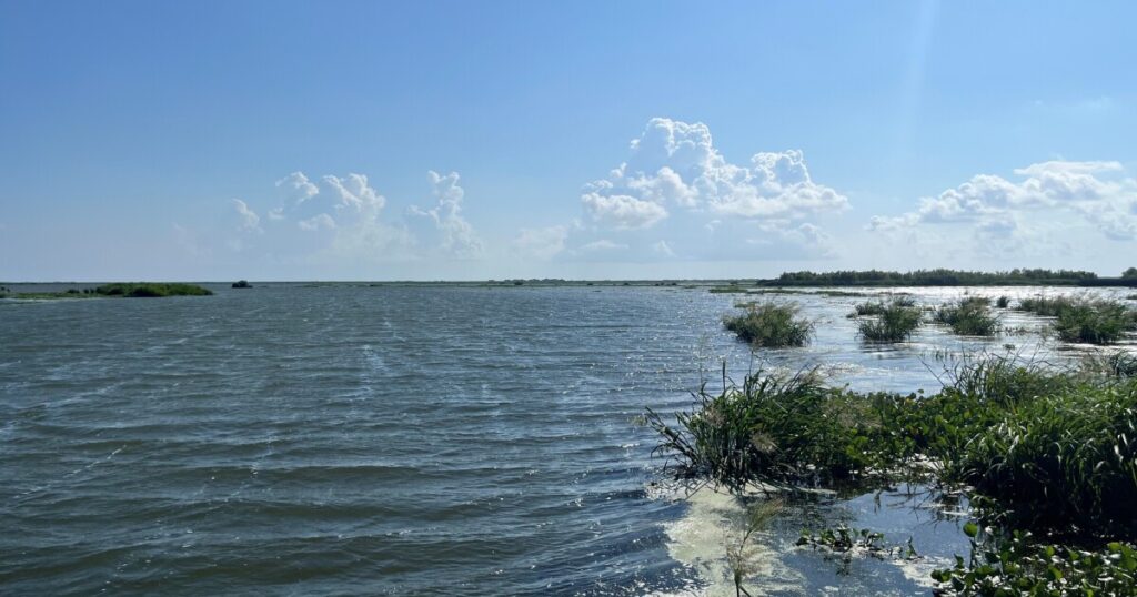 From Wyoming to Louisiana, Restoration Projects Follow Nature’s Lead to Protect Land and Water