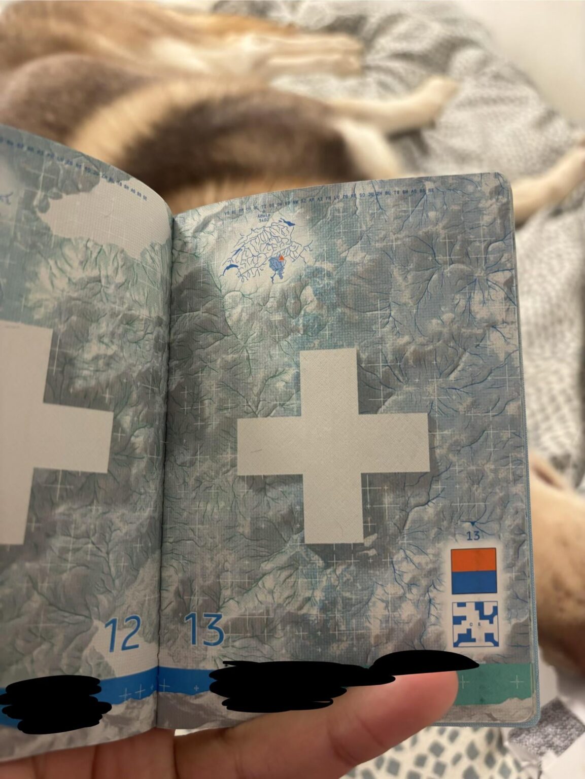 Why is the flag of Ticino flipped on the new passport?