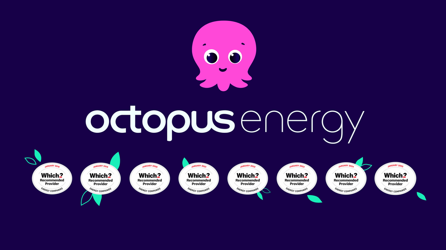 Octopus Energy to pass Autumn Budget savings straight to customers – automatically