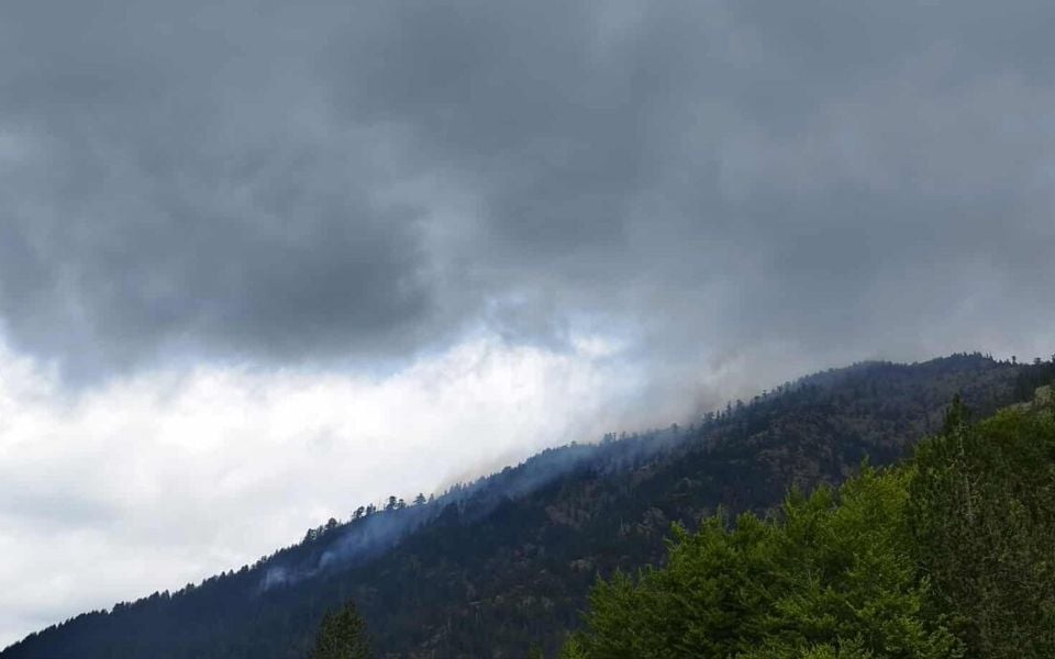 Planned burning enters Greece’s wildfire strategy