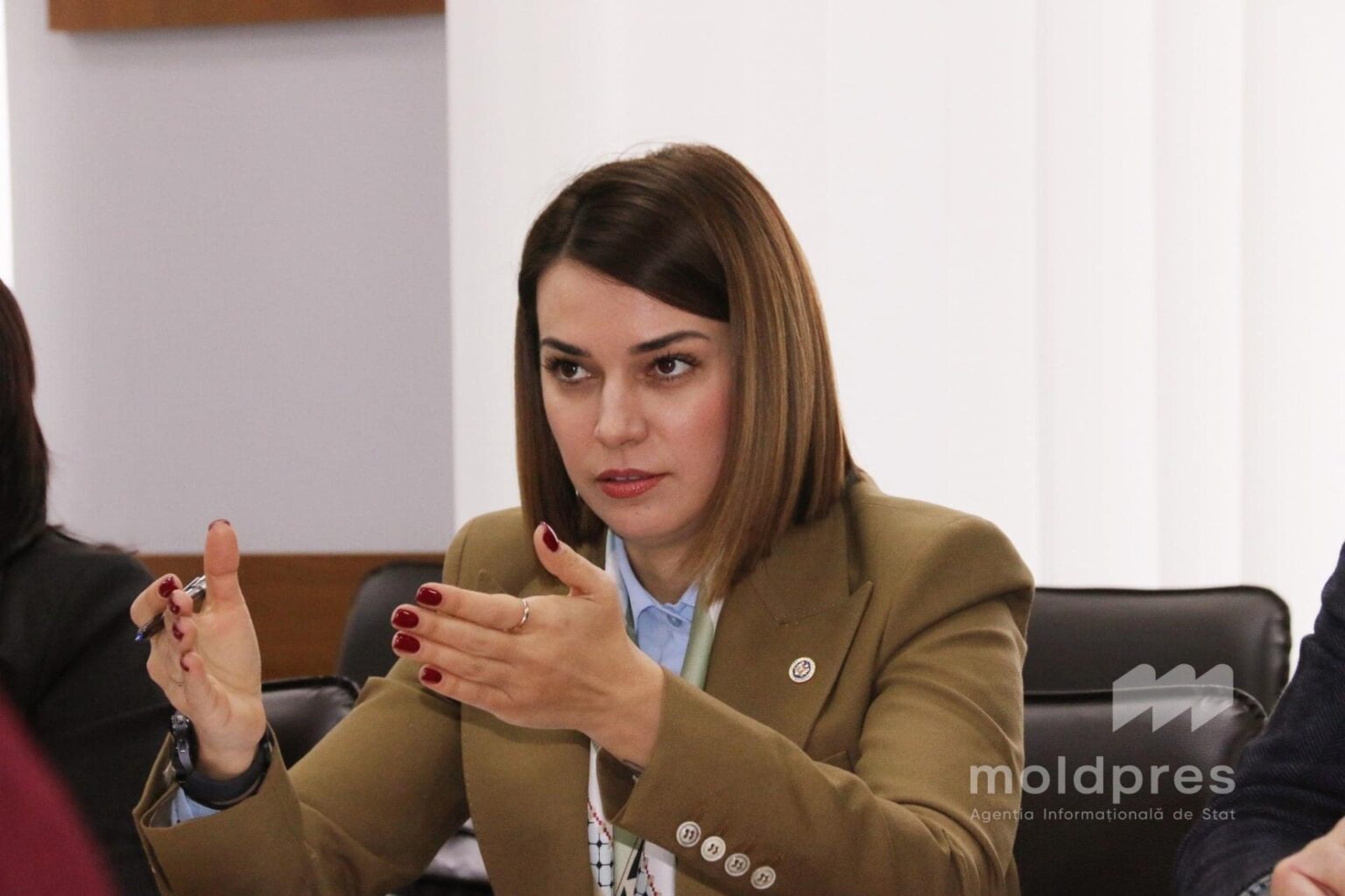 INTERVIEW MOLDPRES // Moldovan agriculture and food industry minister says European integration fundamentally changes way leadership supports agriculture