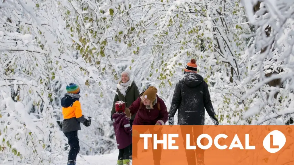 What changes for families in Austria in 2026?