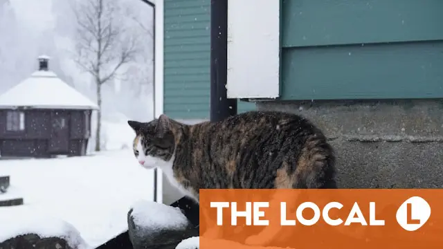 What changes about life in Norway in January 2026?