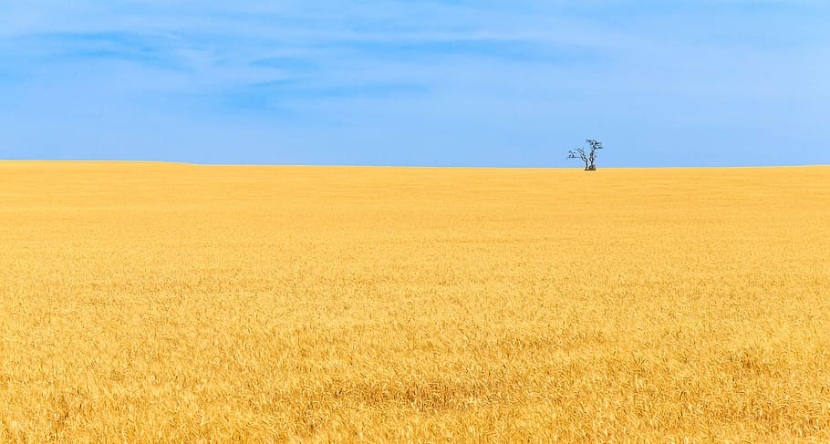 Can the EU Maintain Sanctions Against Russia After a Peace Agreement?