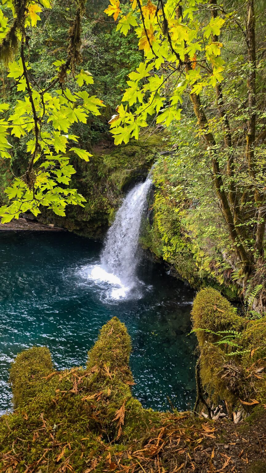 Anyone else up for a hike?