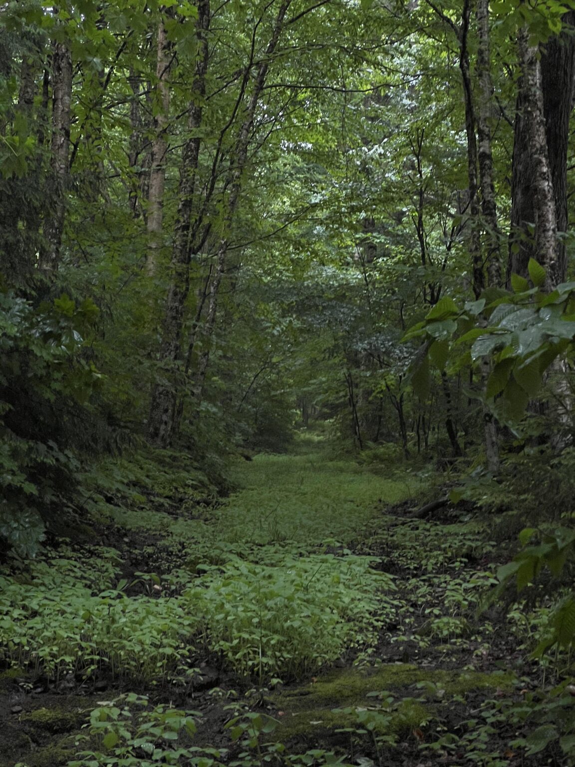 long island, new york 📍