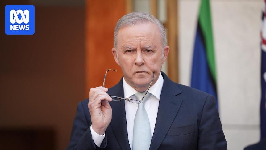 Prime minister of Australia unveils 'largest' gun buyback scheme since Howard era - ABC News