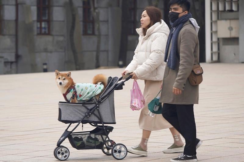 Taiwan's population drops for 23rd-straight month as November births plummet 36.72%