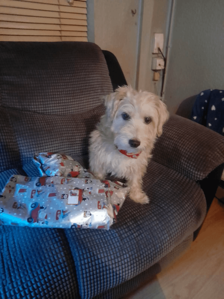 Happy Christmas everyone from me and Eddie