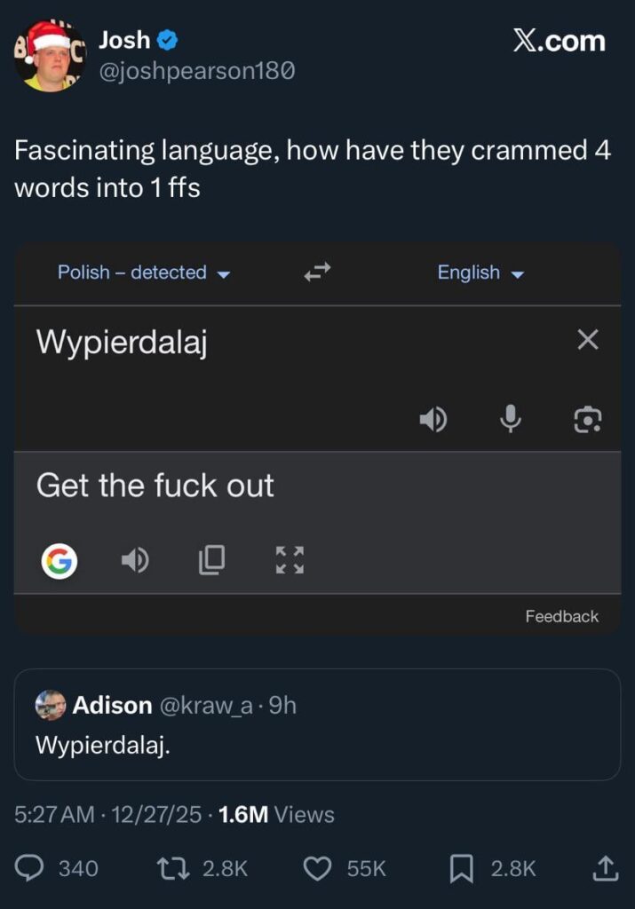 Twitter discovers versatility of Polish
