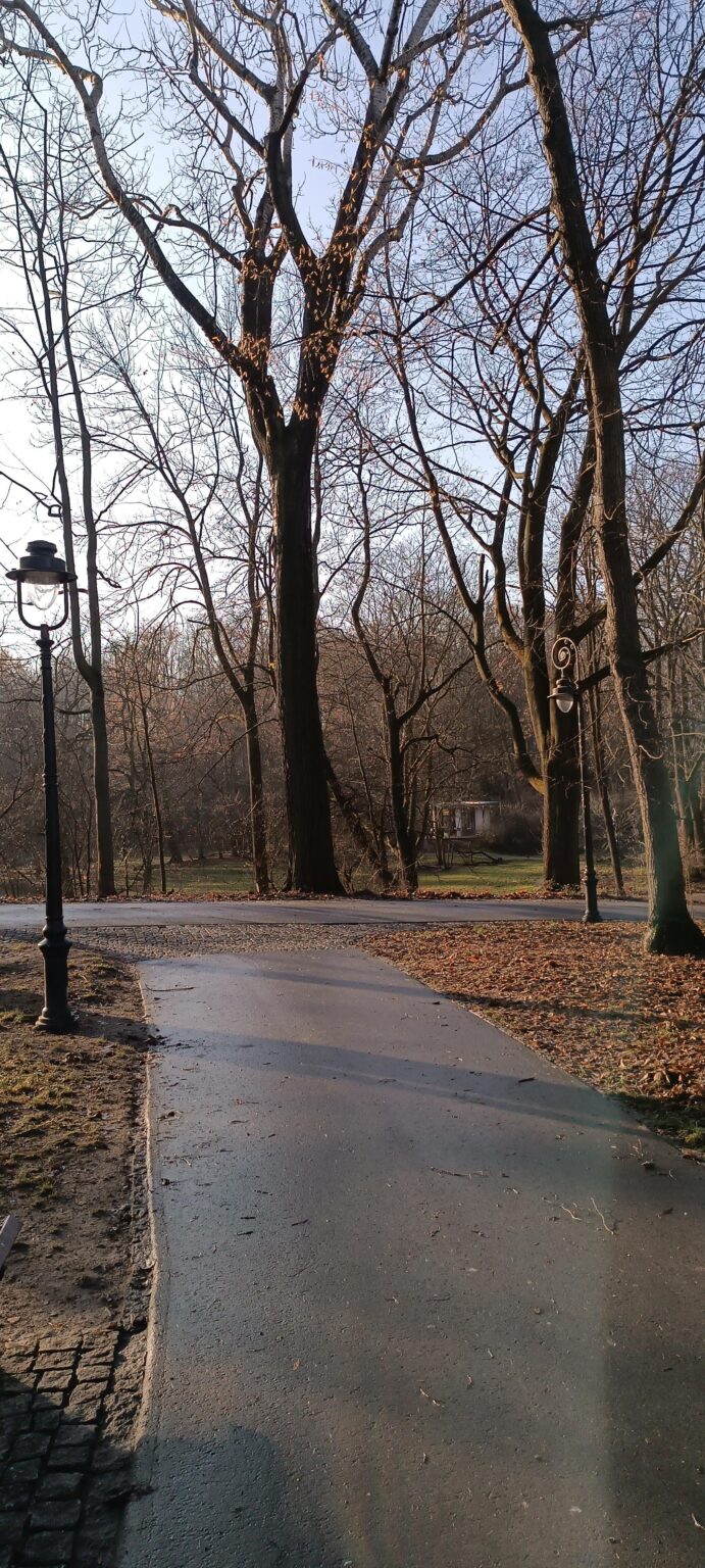 A cafe indden at Bednarski's Park in Kraków