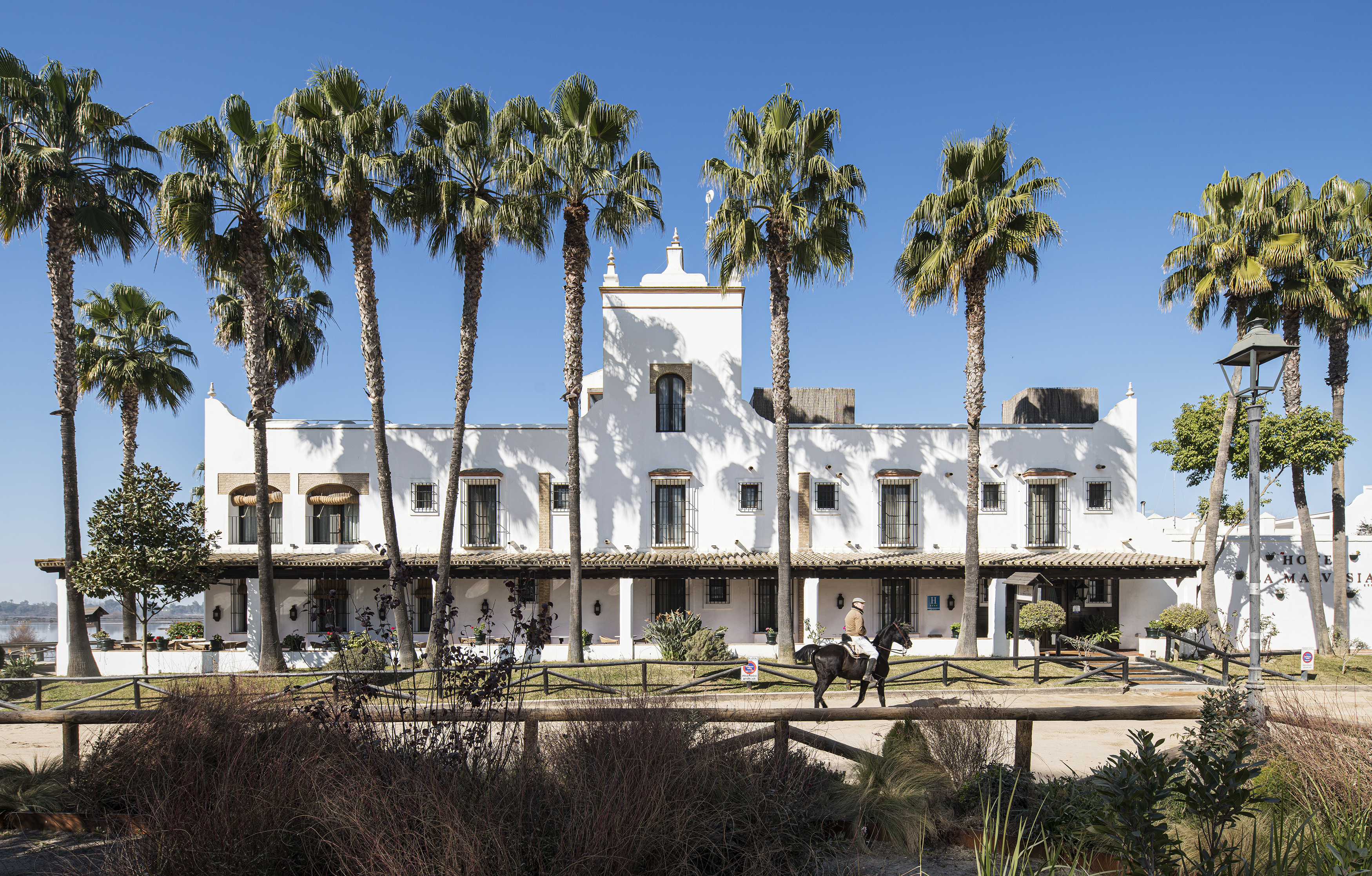 Hotel La Malvasia, a white building with brown trim and numerous palm trees, with a person on horseback in front.