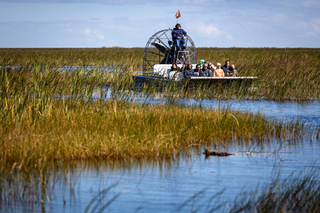 An airboat takes tourists on a tour of the Florida Everglades near Sawgrass Recreation Park in Weston, Fla., on Nov. 12. Credit: Jose Iglesias/Miami Herald