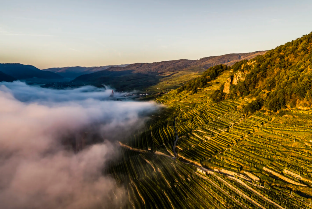 Why Austria’s Wachau is a region all wine buyers should worship