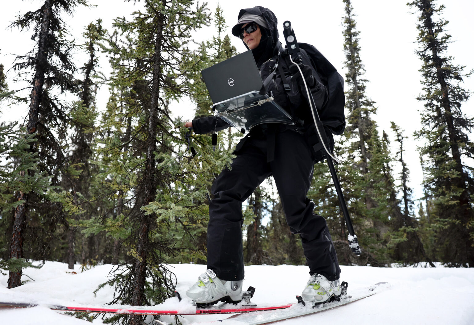 Congress passes environmental funding without Trump’s deep cuts