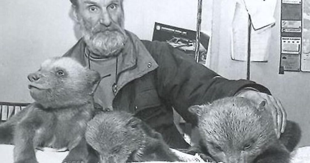 Brigitte Bardot once saved two bears in eastern Slovakia — without ever going there Brigitte Bardot once saved two bears in eastern Slovakia — without ever going there