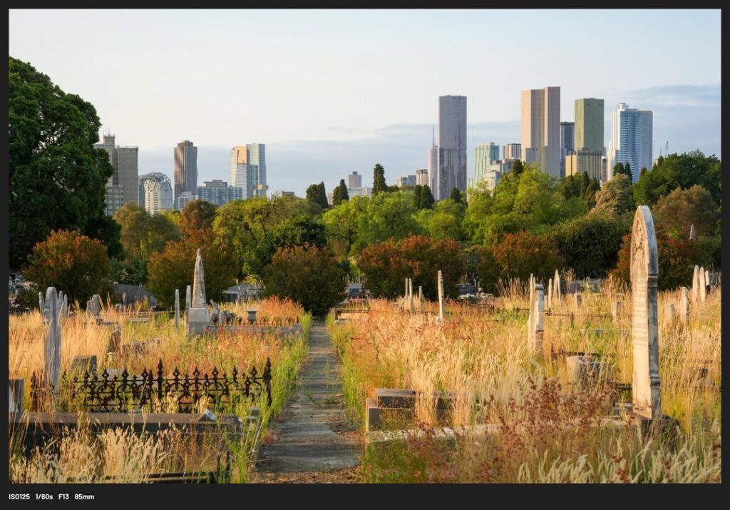 Melbourne from Melbourne Cemetery