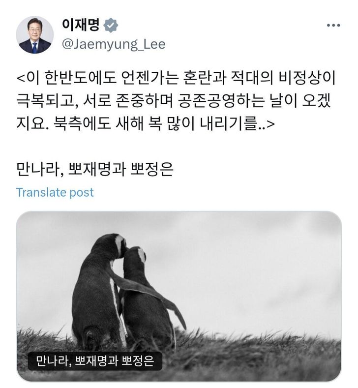 A photo of two penguins shared by President Lee Jae Myung in a social media post on X, formerly Twitter, alongside a New Year’s message to North Korea. Captured from X