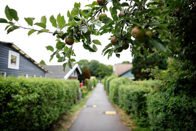 [Gavelink]They have been living illegally for years. Now they are a big step closer to winning millions: "It was well known that people lived there all year round" - They have lived illegally for years without paying the same tax as other home owners. Very soon it may be a thing of the past and they may sell for millions