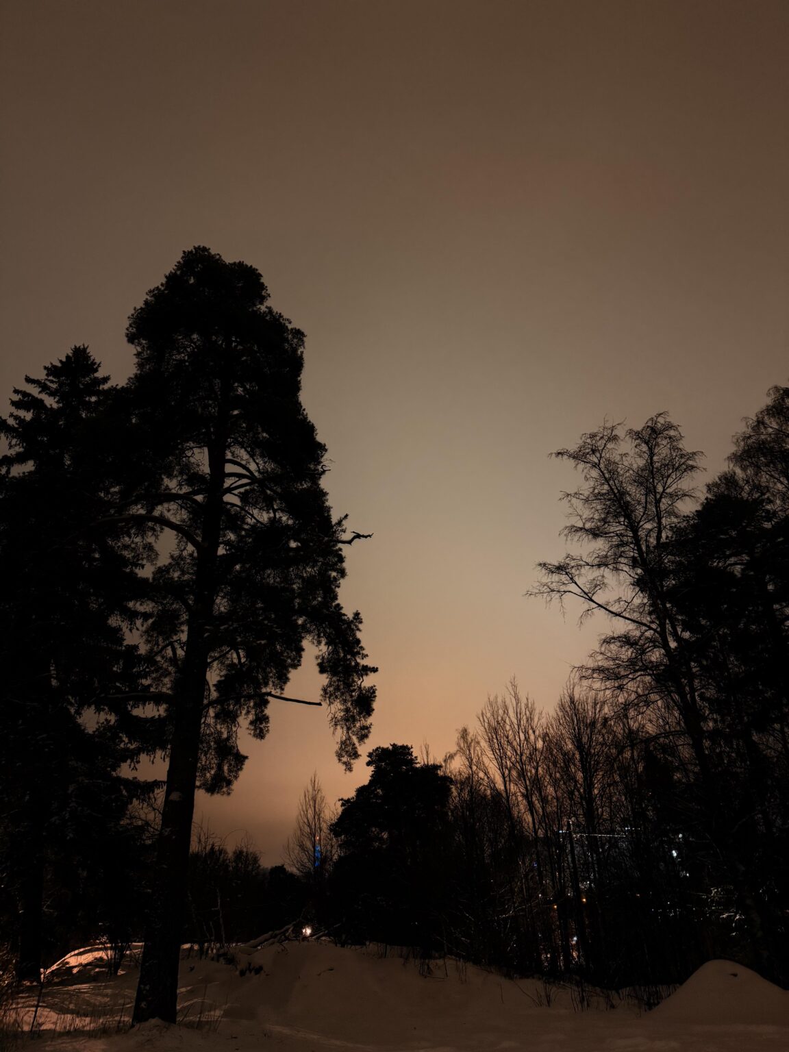 Was I seeing the northern lights or was this just light pollution? Was I seeing the northern lights or was this just light pollution?