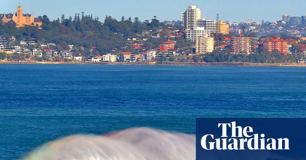 Four shark attacks in 48 hours leave Australian surfer Matt more afraid of local beaches than world’s biggest waves | Sharks Four shark attacks in 48 hours leave Australian surfer Matt more afraid of local beaches than world’s biggest waves | Sharks