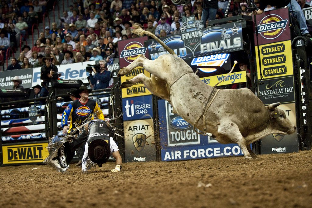 Professional bull riding. U.S. Air Force photo / Tech. Sgt. Michael R. Holzwort