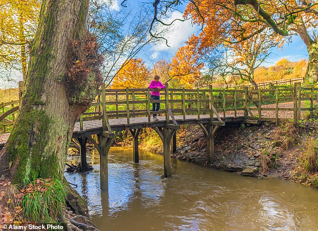Pooh Bridge in Ashdown Forest in East Sussex. The forest was the inspiration for Hundred Acre Wood in the beloved stories by AA Milne