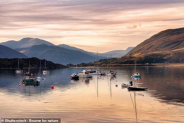 Ullapool is another excellent spot for seeing the Northern Lights