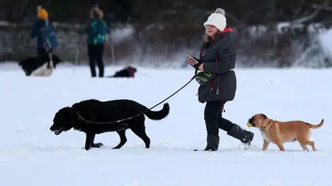 Getty Images A woman walks dogs in heavy snow in Stonehaven, Scotland