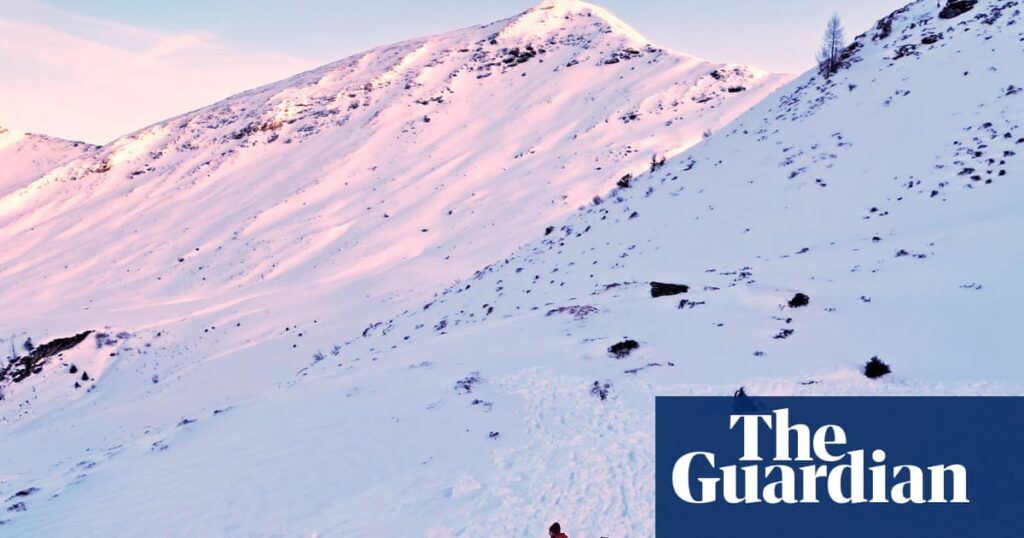 Eight people killed in avalanches in Austrian Alps as rescuers urge skiers to heed warnings | Austria