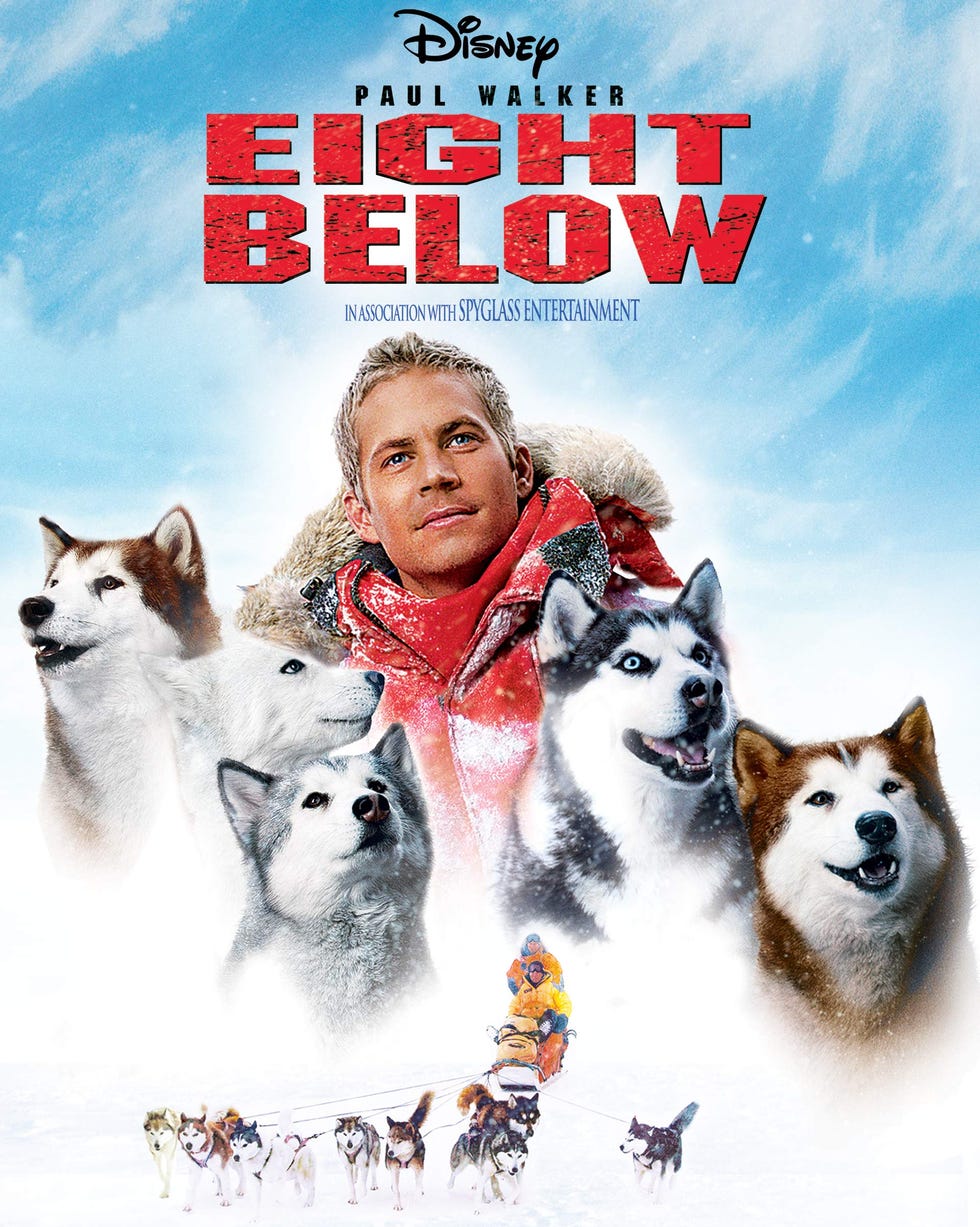 Eight Below