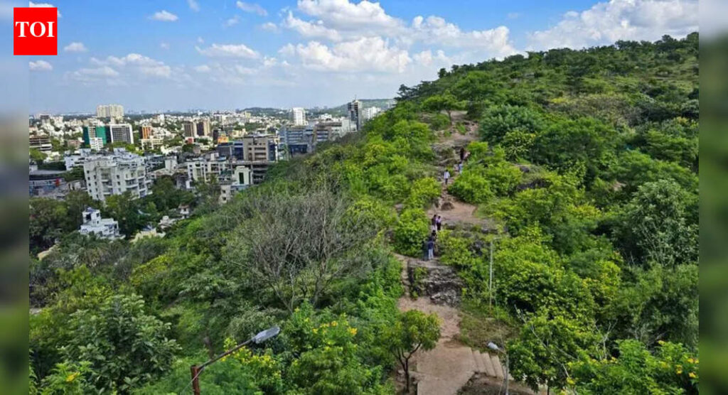 Why is environment not on any politician’s agenda before the civic polls in Pune? | Pune News