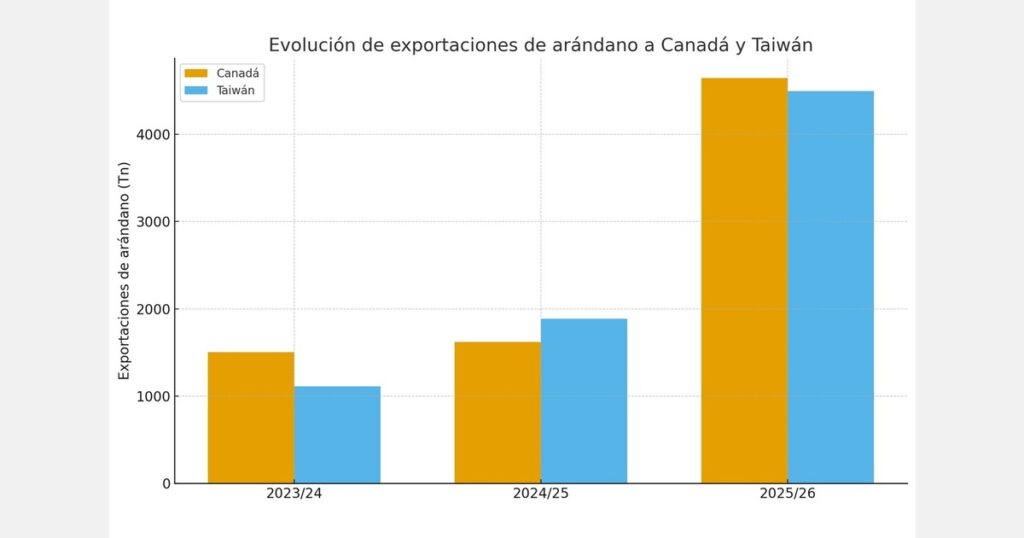 Canada and Taiwan drive southern hemisphere blueberry exports