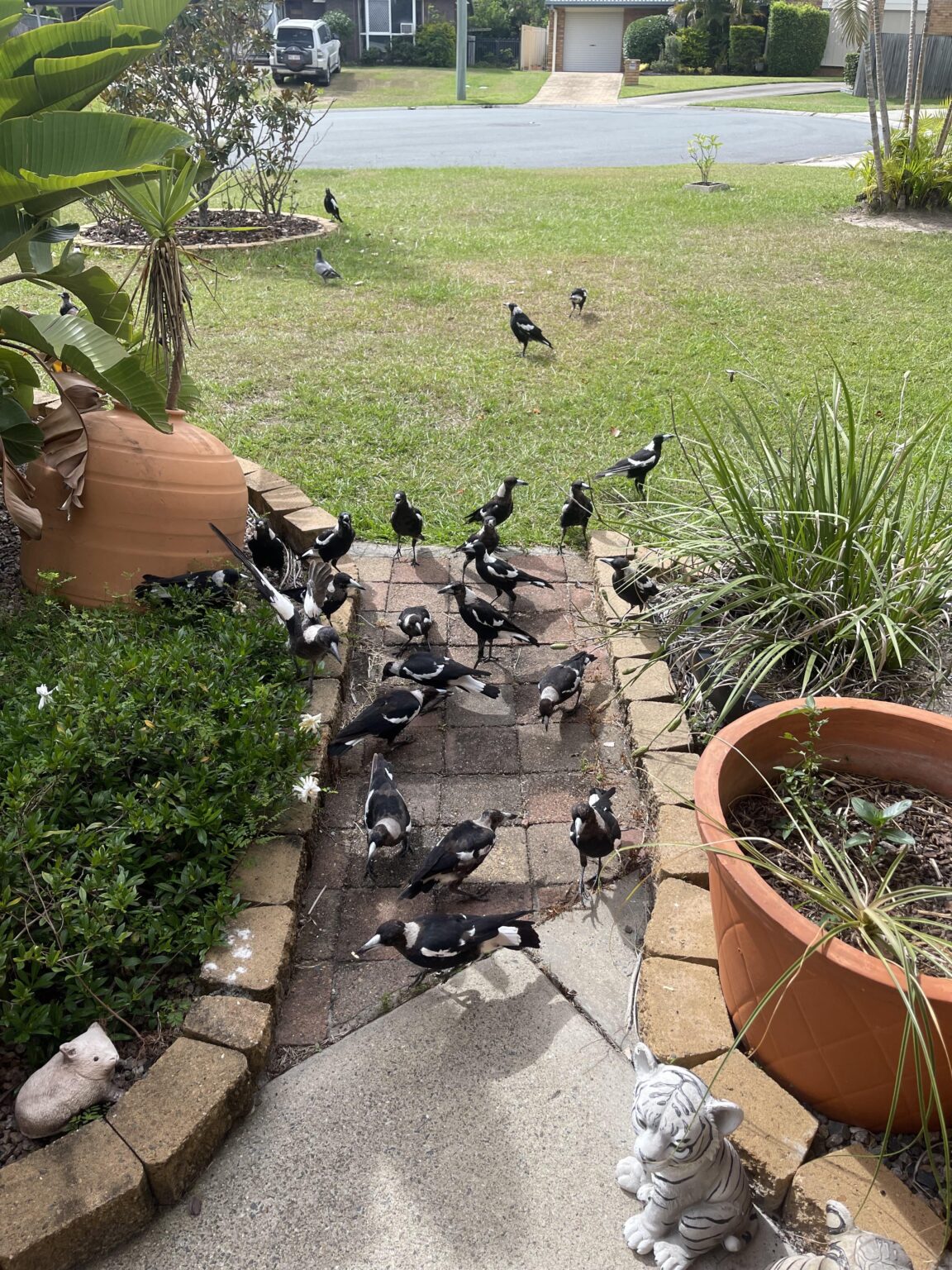 This is getting a bit out of hand, it started with 1