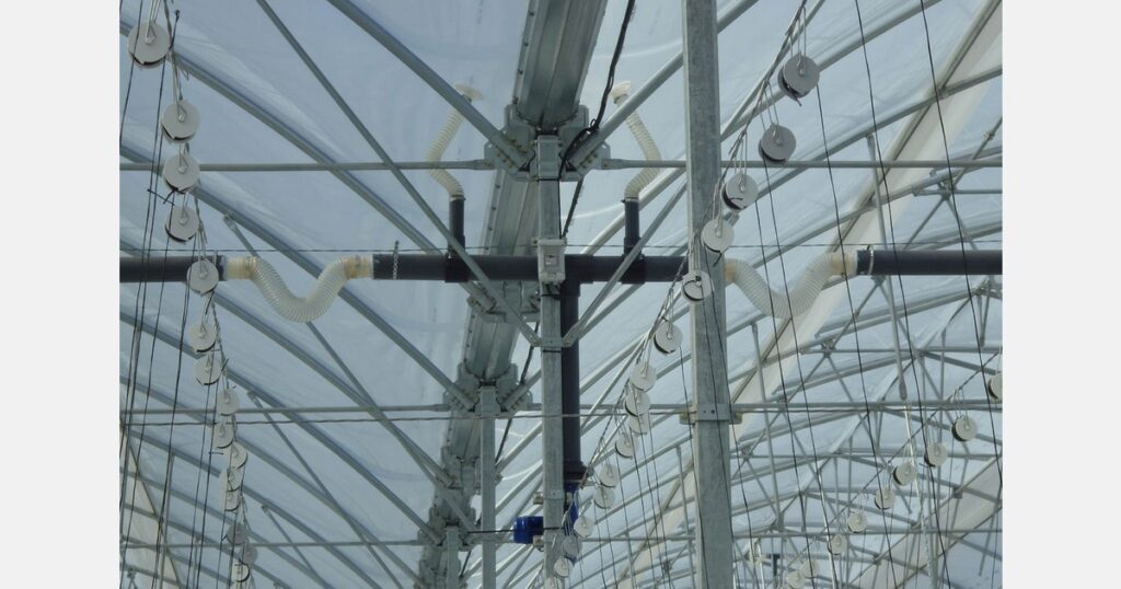 A tomato grower in Spain gets 20% more yield thanks to a double-layered greenhouse