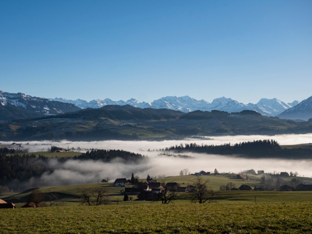 Loss of biodiversity in Switzerland slows but still worrying Loss of biodiversity in Switzerland slows but still worrying