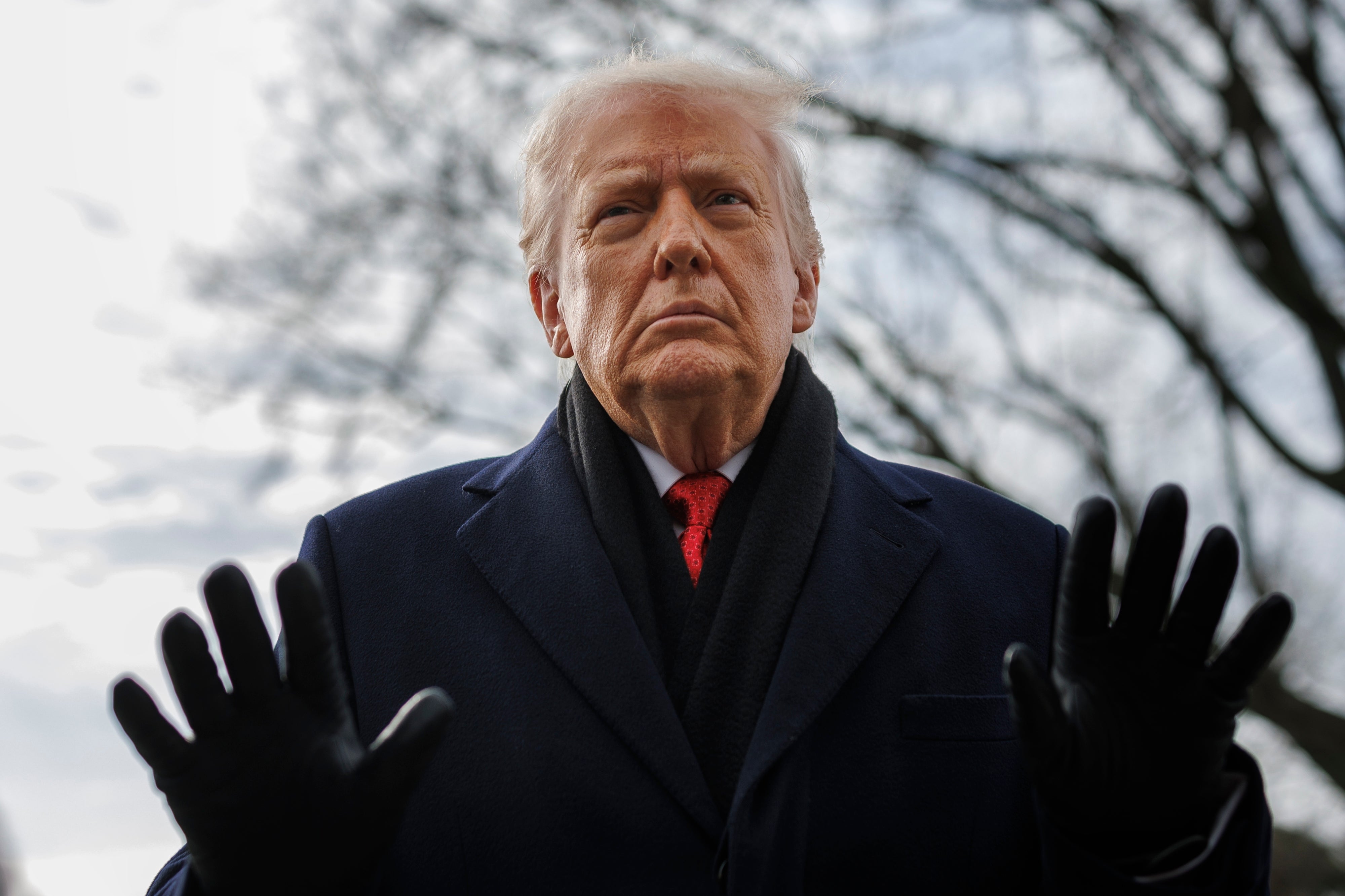 Donald Trump has threatened allies over their support of Denmark
