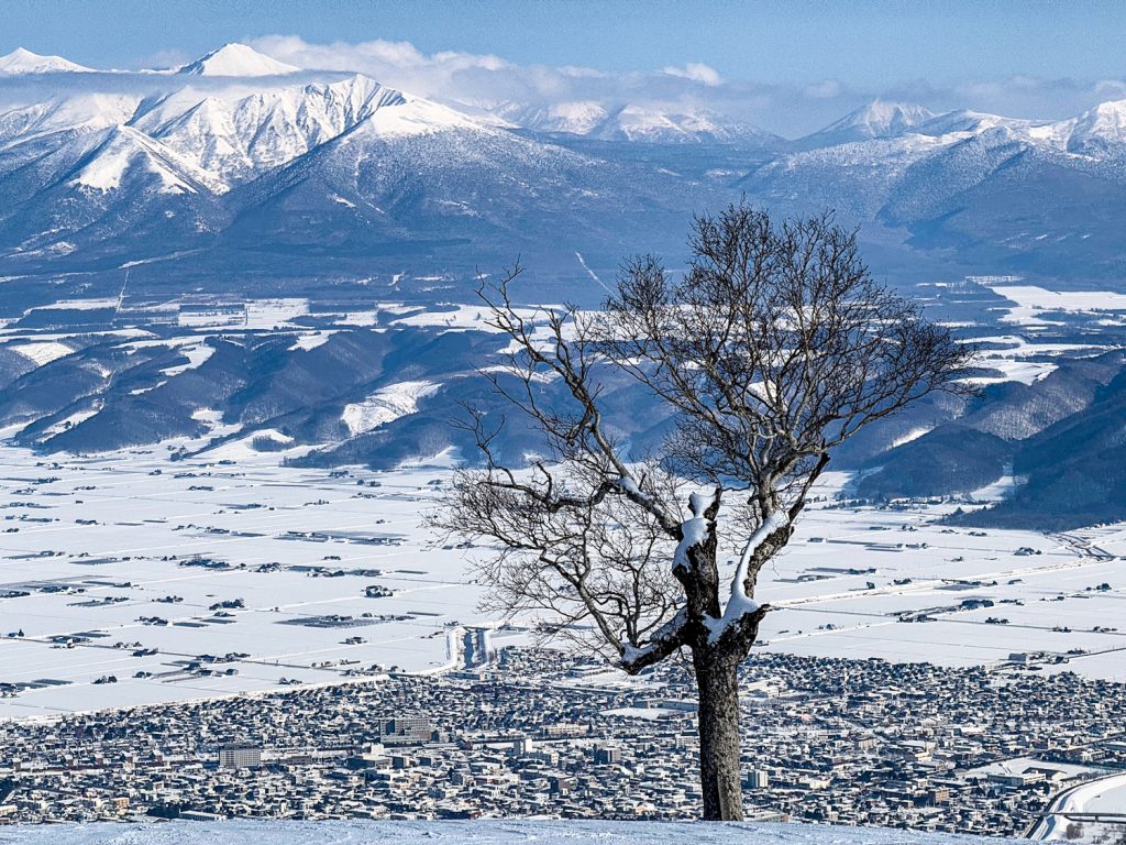 LaConte: That last-minute Japan trip is surprisingly possible LaConte: That last-minute Japan trip is surprisingly possible