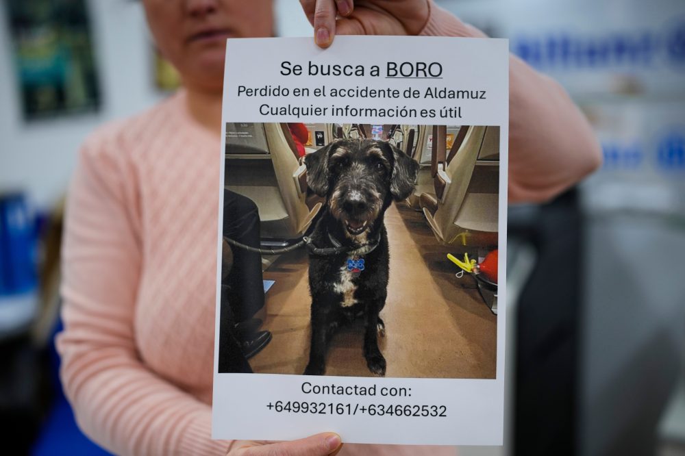 After fatal rail accident, a missing dog that captivated Spain is found